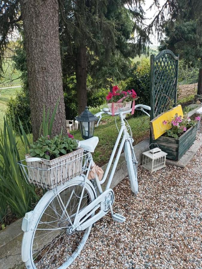 Bed and Breakfast Bb Lady Castelvetro di Modena Exterior foto